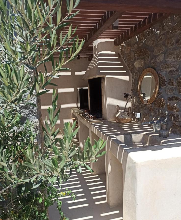 Aviola Mykonos Villa Ftelia  Eksteriør bilde