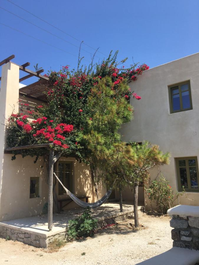 Aviola Mykonos Villa Ftelia  Eksteriør bilde